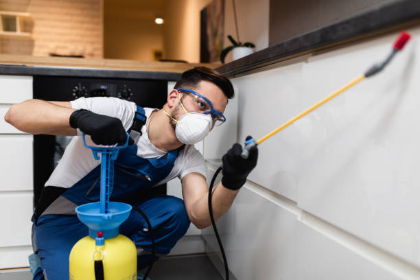 Best Pest Control Near Me in Norman Park, GA