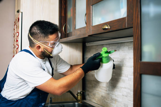Best Affordable Pest Control Services  in Norman Park, GA