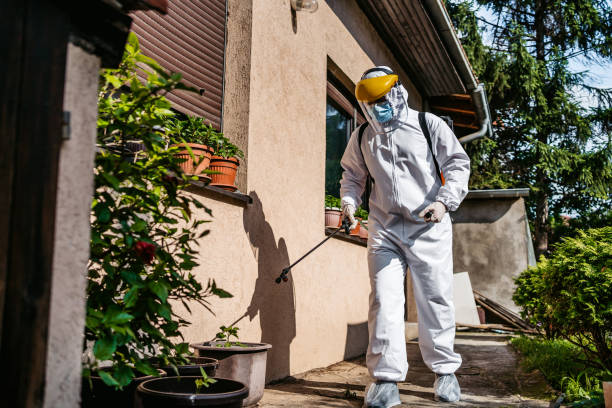 Best Flea Control Services  in Norman Park, GA