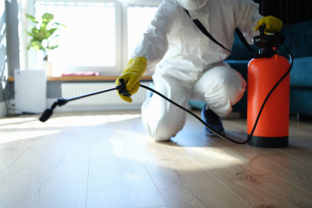 Insect Control in Norman Park, GA