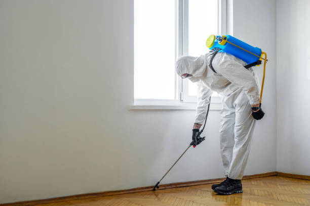 Best Pest Inspection Near Me  in Norman Park, GA