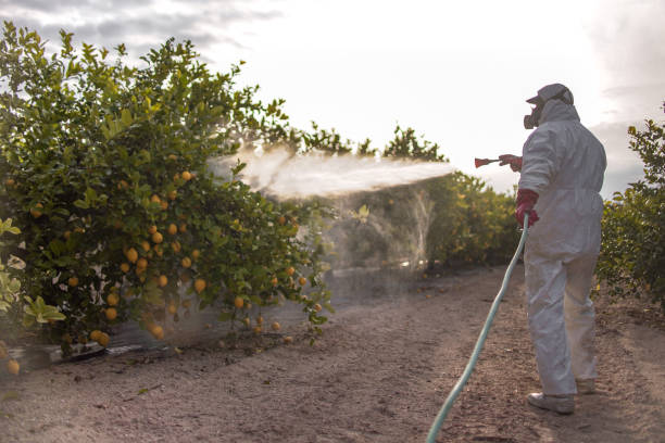 Best Best Pest Control Near Me  in Norman Park, GA