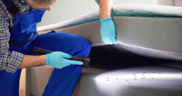 Best Termite Control Services  in Norman Park, GA
