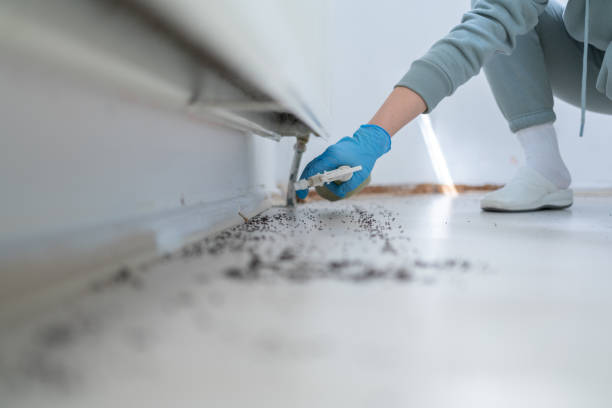 Best Pest Prevention Services  in Norman Park, GA
